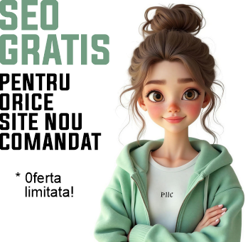 optimizare Google
